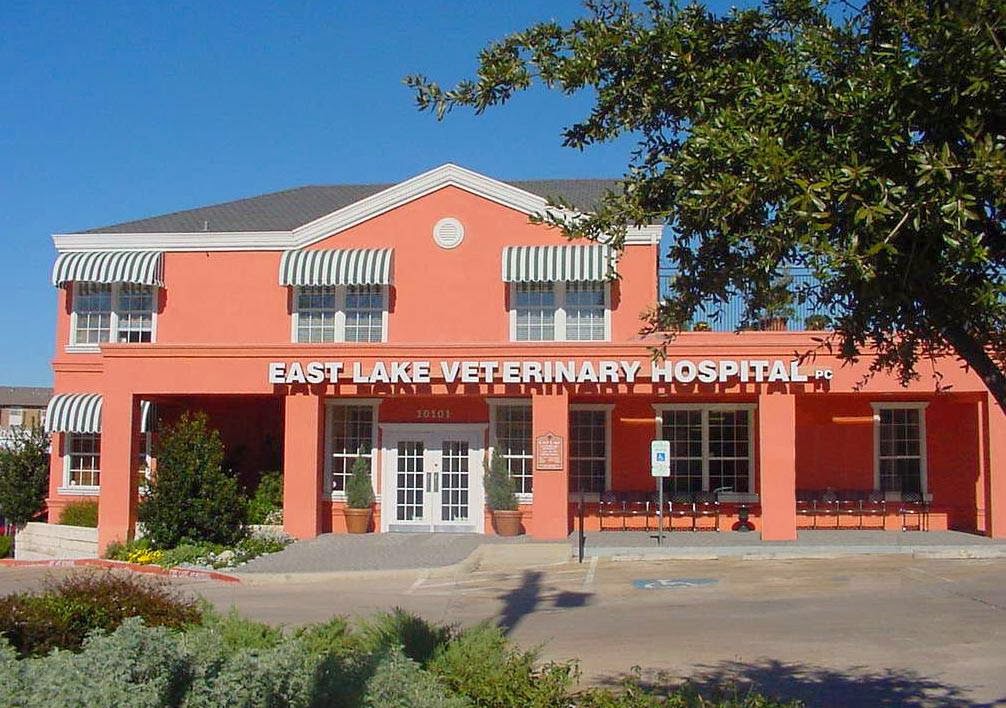 East Lake Veterinary Hospital - Dallas , United States
