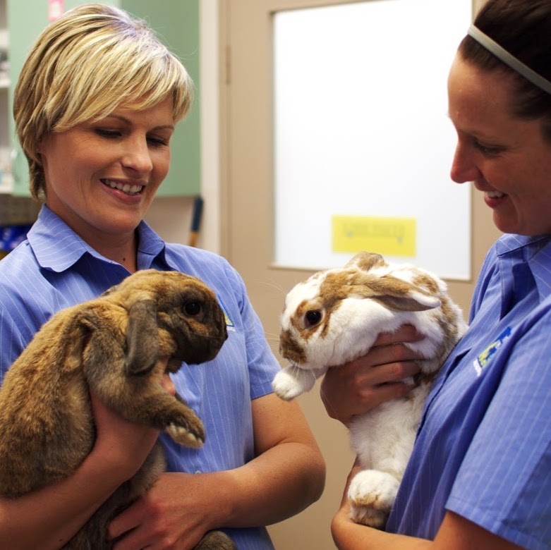 Family Vet Centre Albury - Albury , Australia