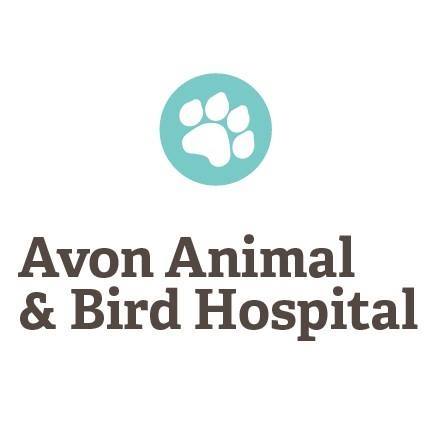 Avon Animal Hospital - Avon , United States