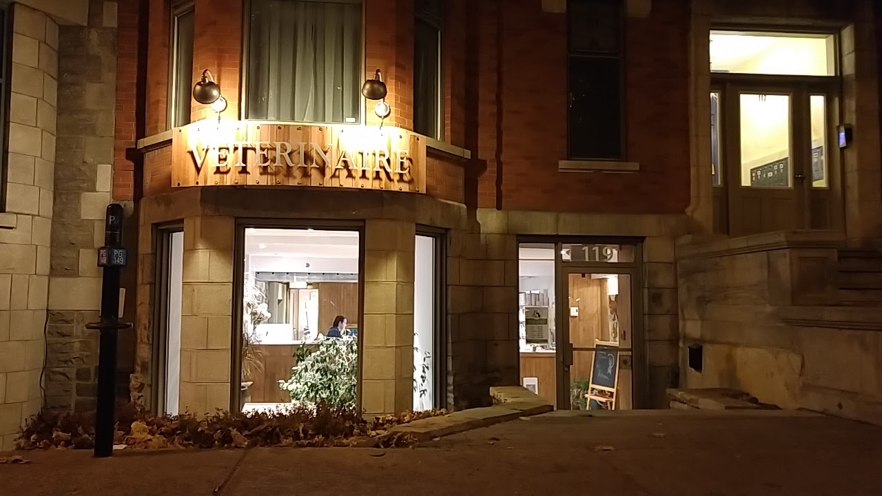 Clinique Vétérinaire Plateau Mont Royal - Montreal , Canada
