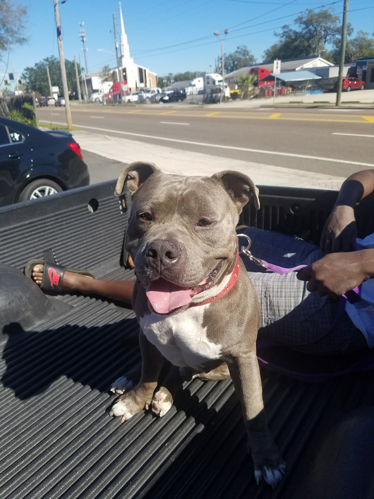 Arlington Animal Hospital - Jacksonville , United States