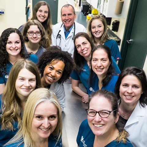 Clinique Vétérinaire Samson - Laval , Canada