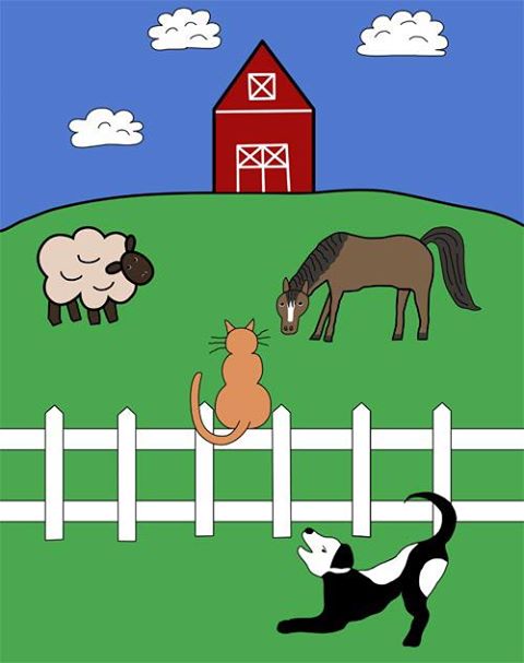 All Creatures Great And Small Veterinary Clinic - Corvallis , United States