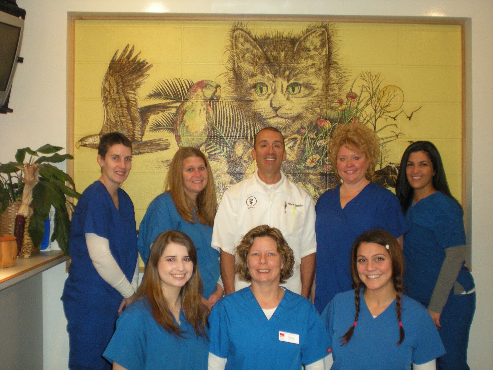 Oakton Animal Hospital - Elk Grove Village , United States