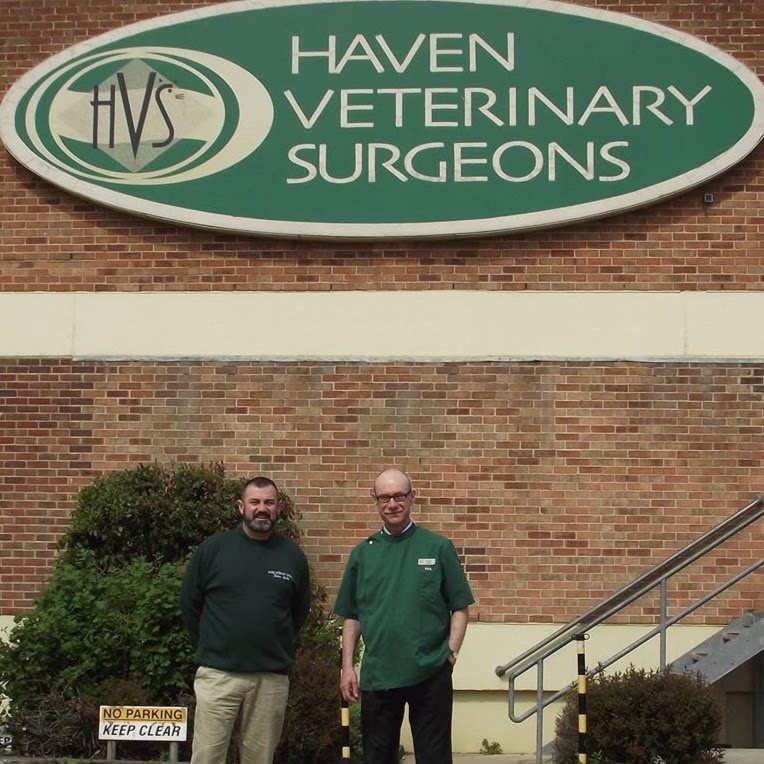 Haven Veterinary Surgeons Great Yarmouth - Great Yarmouth , United Kingdom