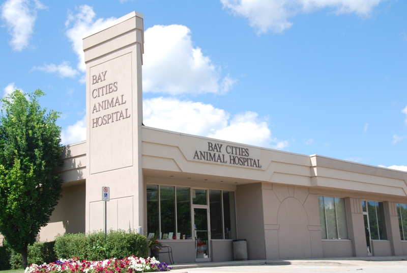 Vca Canada Bay Cities Animal Hospital - Burlington , Canada