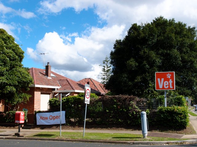 Activet Clinic Carlingford - Carlingford , Australia