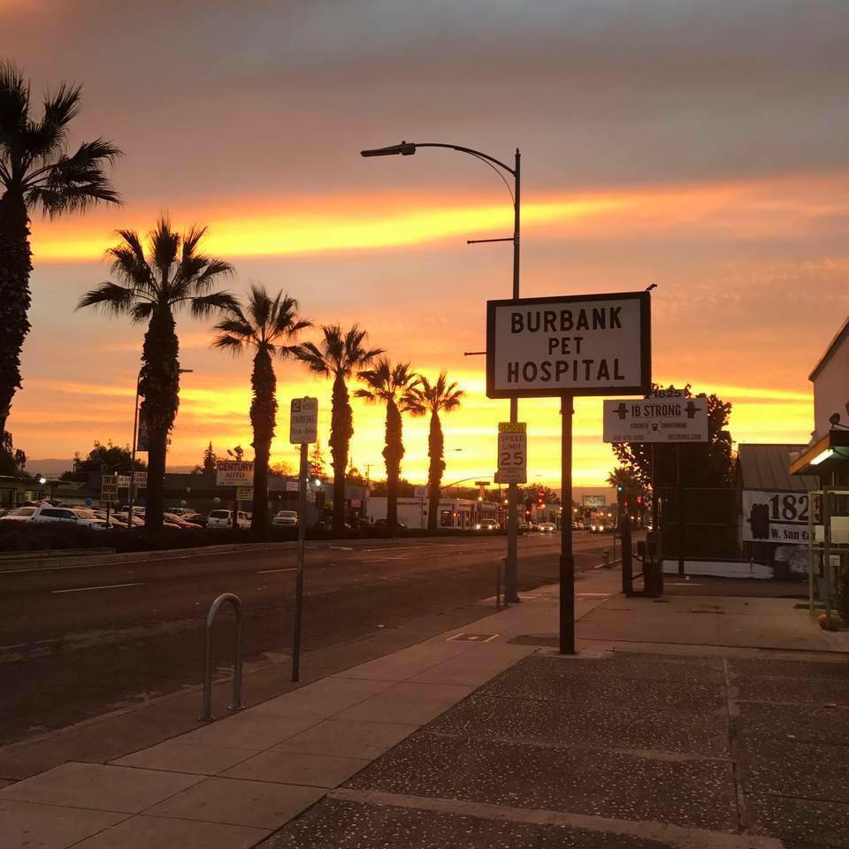 Burbank Pet Hospital - San Jose , United States