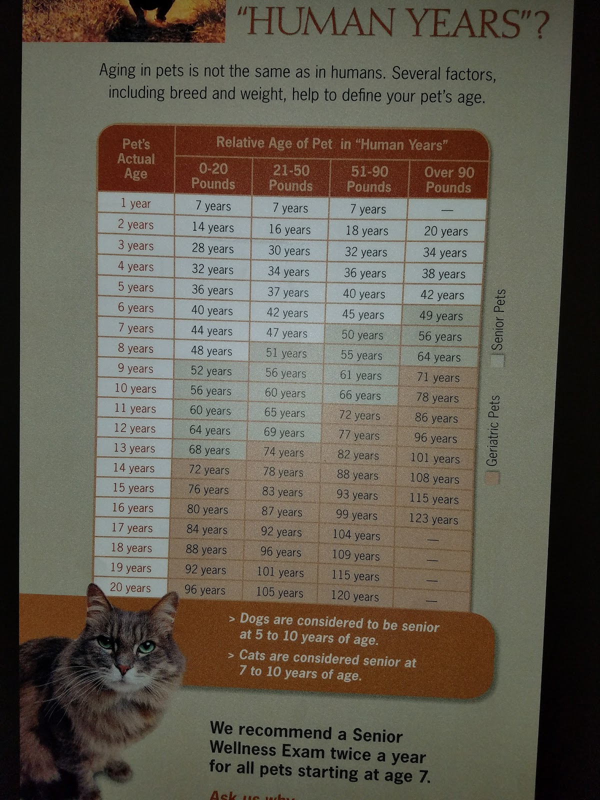 Rocky Point Animal Hospital - Rocky Point , United States