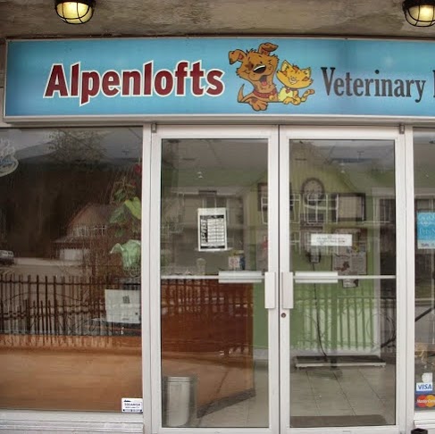 Alpenlofts Veterinary Hospital - Squamish , Canada
