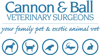 Cannon And Ball Veterinary Surgeons - Figtree , Australia