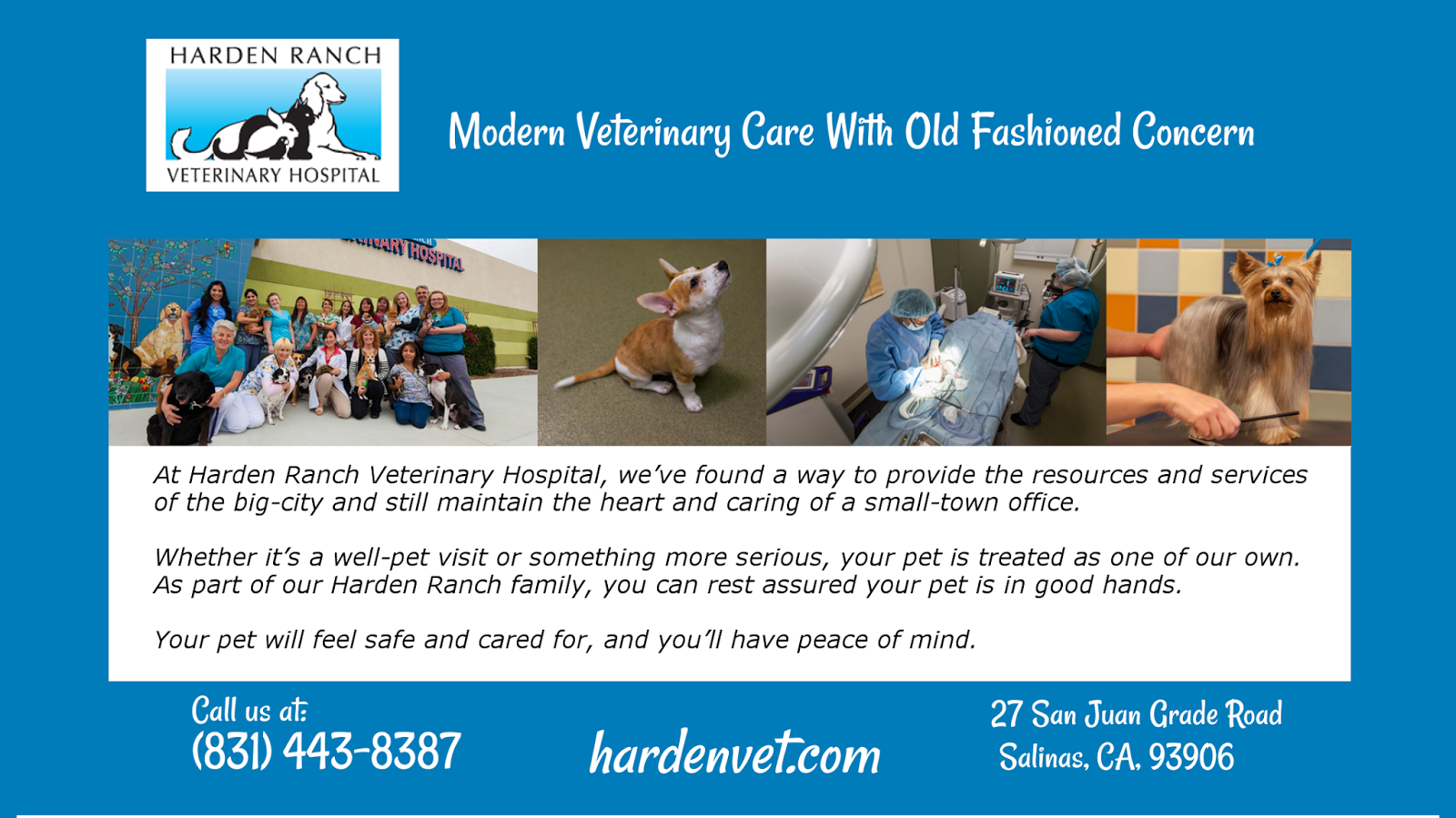Banfield Pet Hospital - Salinas , United States