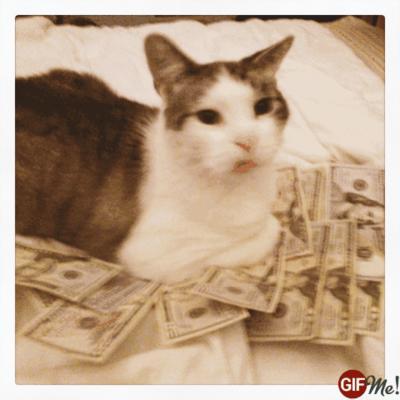 Business's Photo