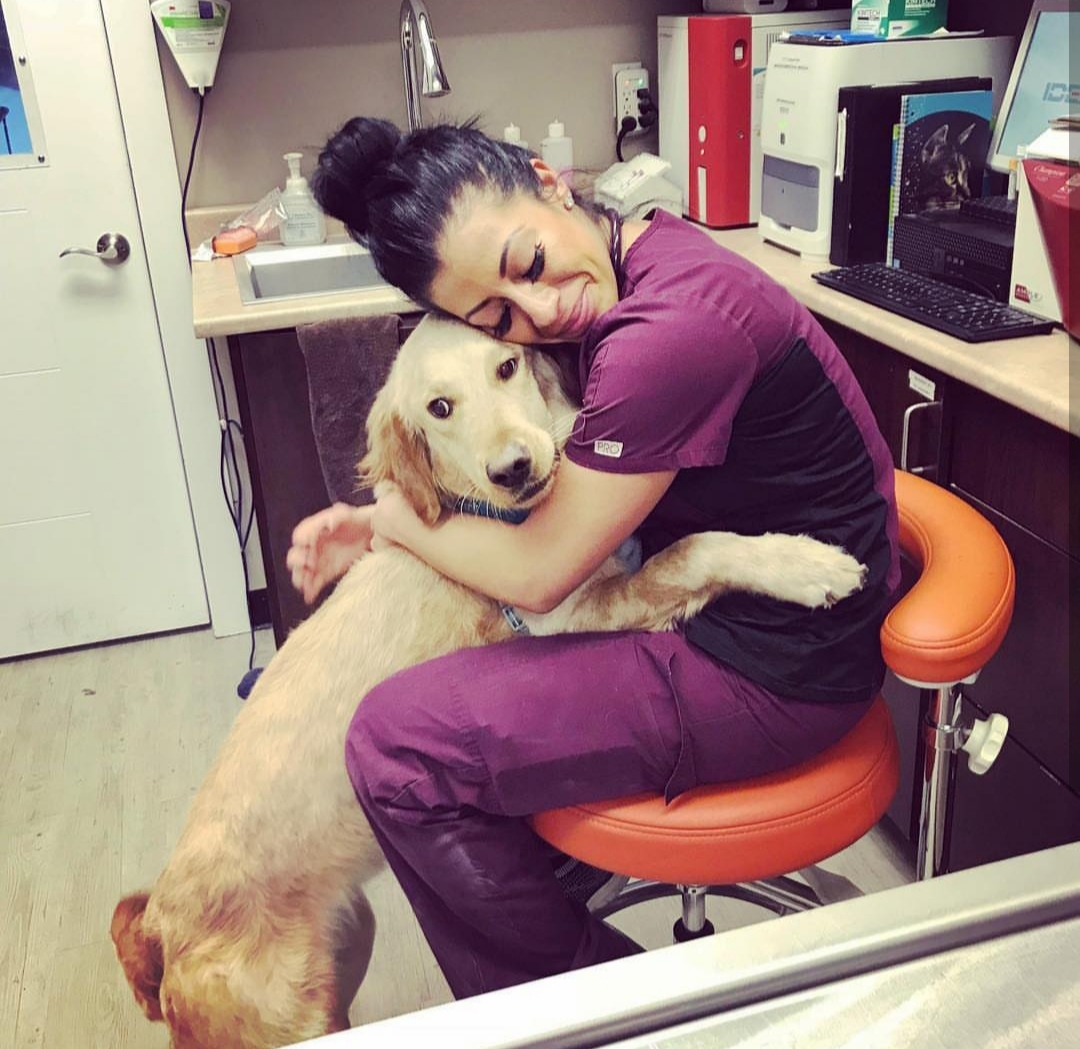 Edmonton West Animal Hospital - Edmonton , Canada