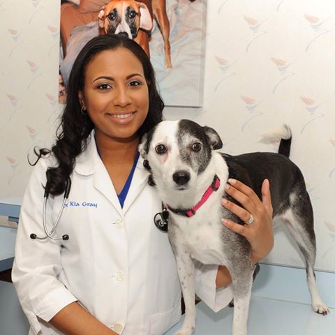La Place Veterinary Hospital - LaPlace , United States