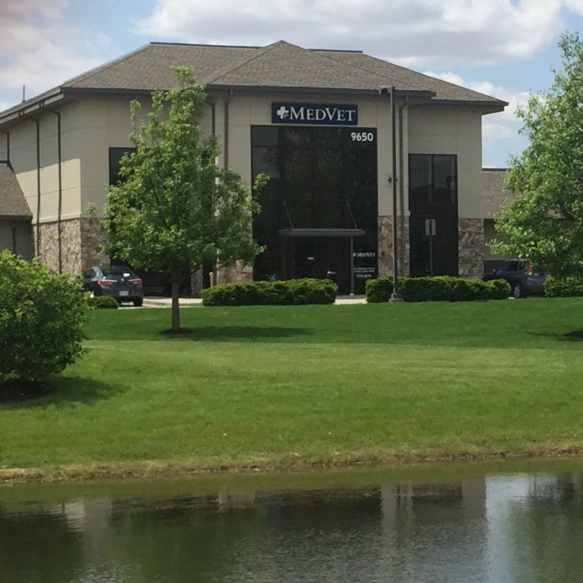 Medvet Indianapolis - Carmel , United States