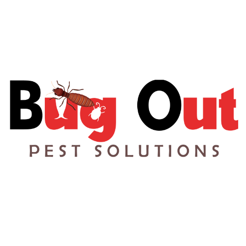 Bug Out Pest Solutions - Deception Bay , Australia