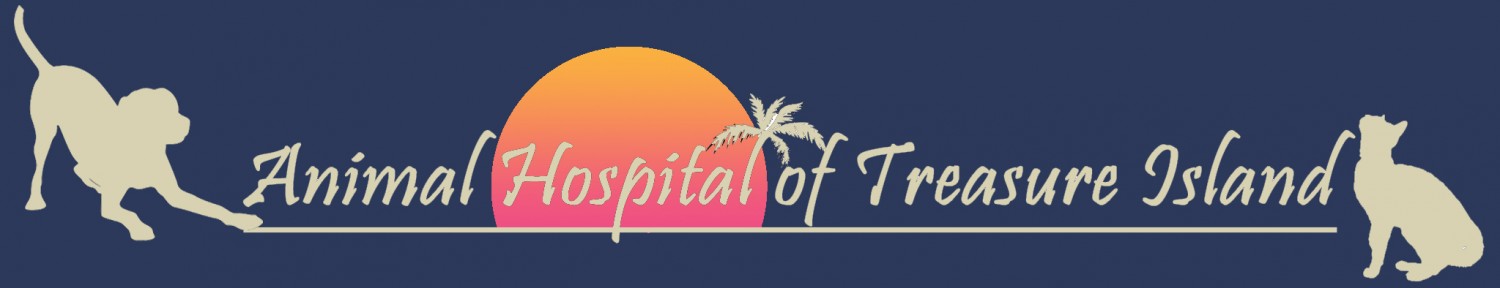 Animal Hospital Treasure Island - St. Petersburg , United States