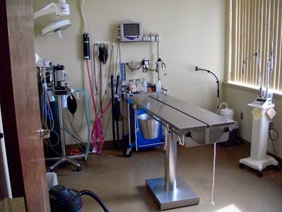 Millersville Animal Hospital - Millersville , United States