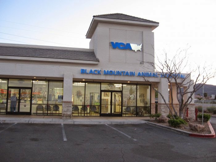 Vca Black Mountain Animal Hospital - Henderson , United States