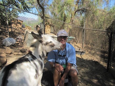 Gary J Amaral Dvm - Bonita , United States
