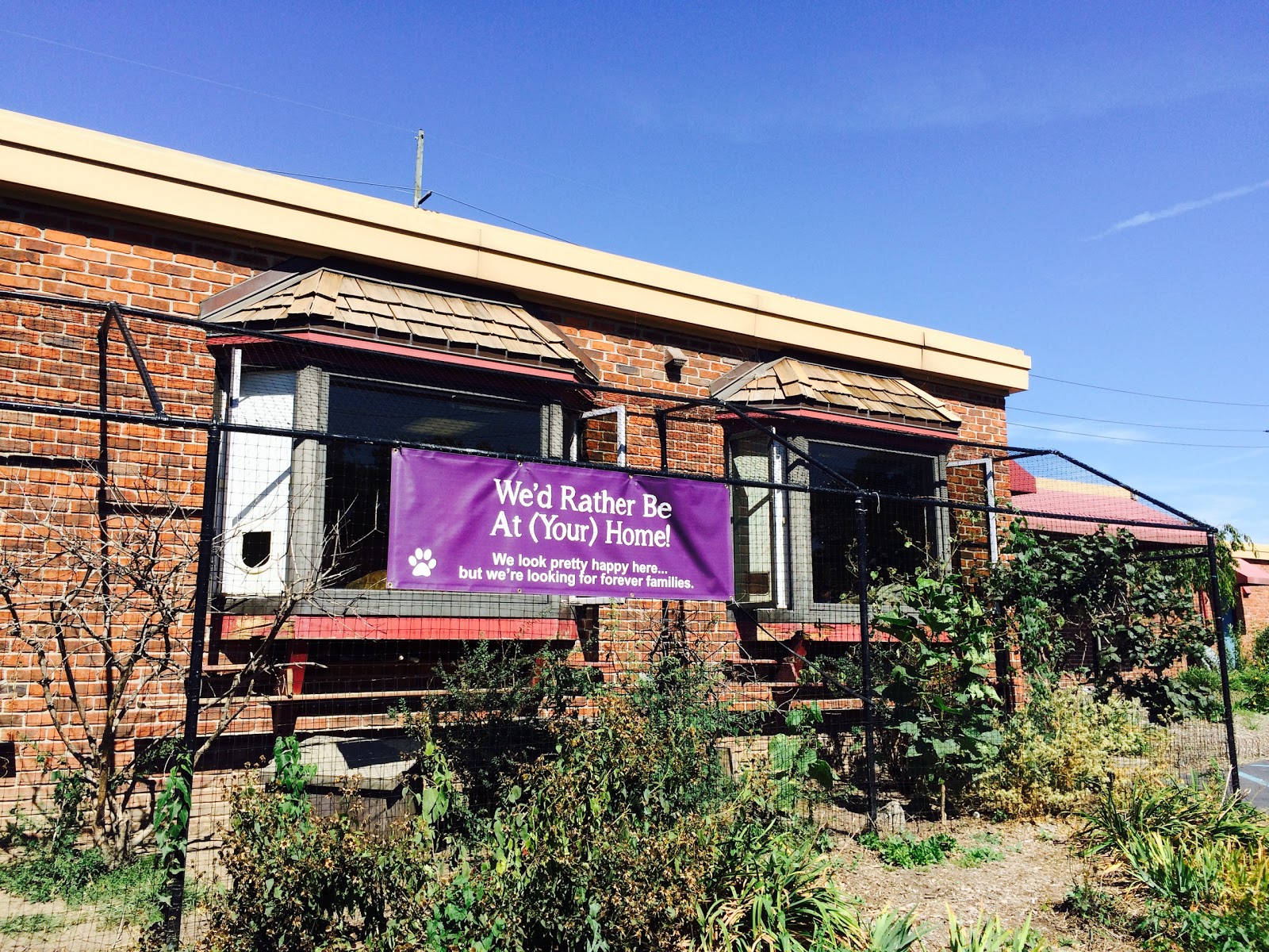 Face Low Cost Animal Clinic - Indianapolis , United States