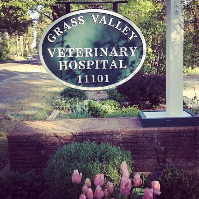 Grass Valley Veterinary Hospital - Grass Valley , United States