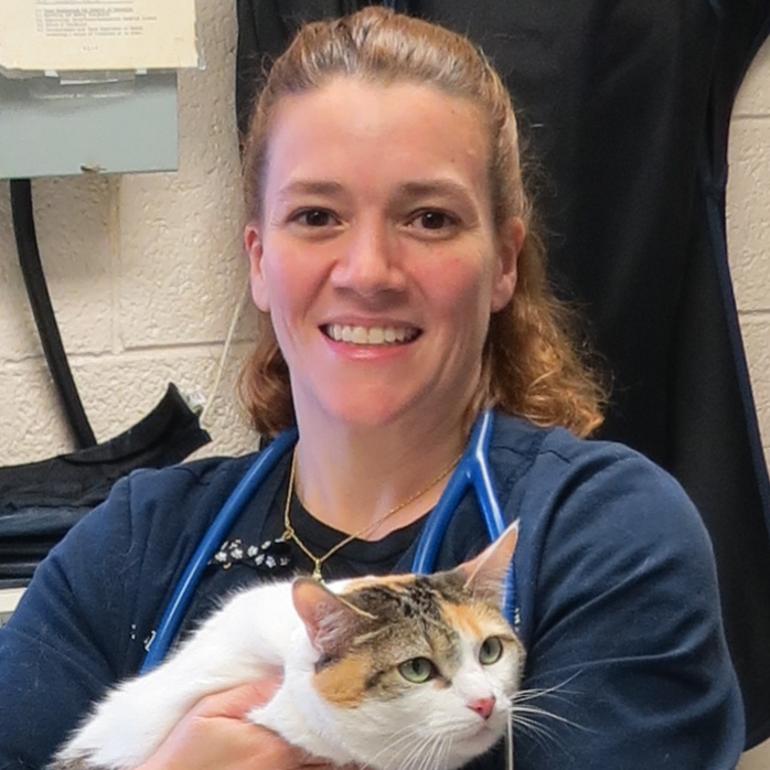 All Creatures Great And Small Veterinary Hospital - San Antonio , United States