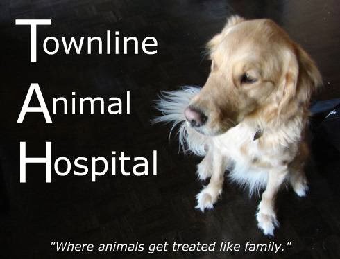Townline Animal Hospital - Cambridge , Canada