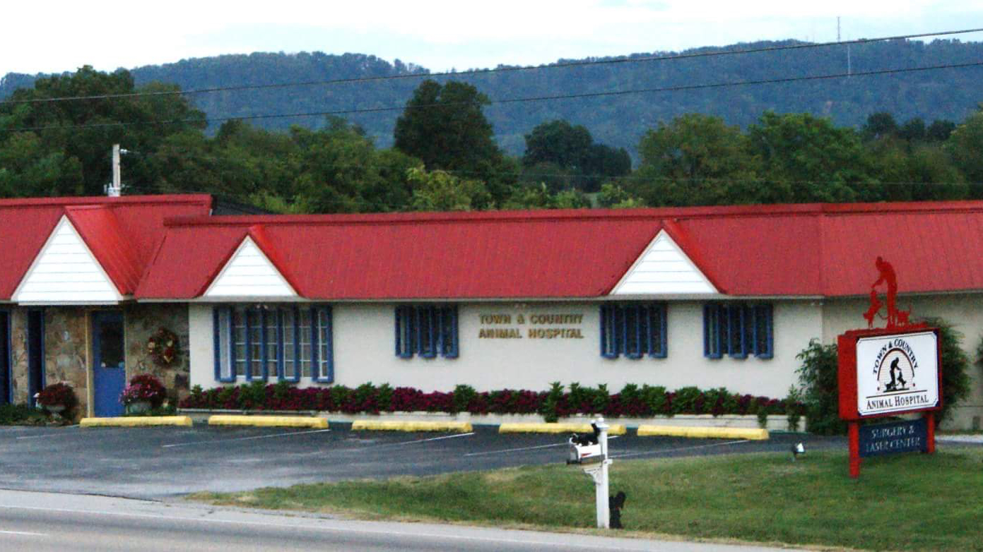 Town And Country Animal Hospital - New Market , United States