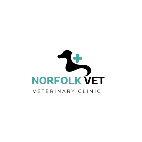 Norfolk Vet Uk - Norwich , United Kingdom