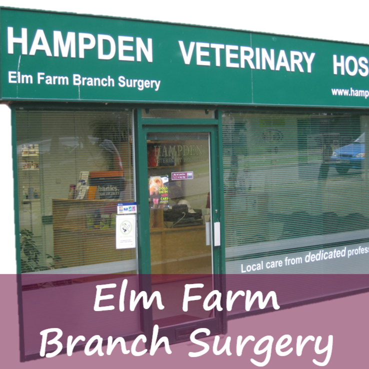 Hampden Vets Elms Farm - Aylesbury , United Kingdom
