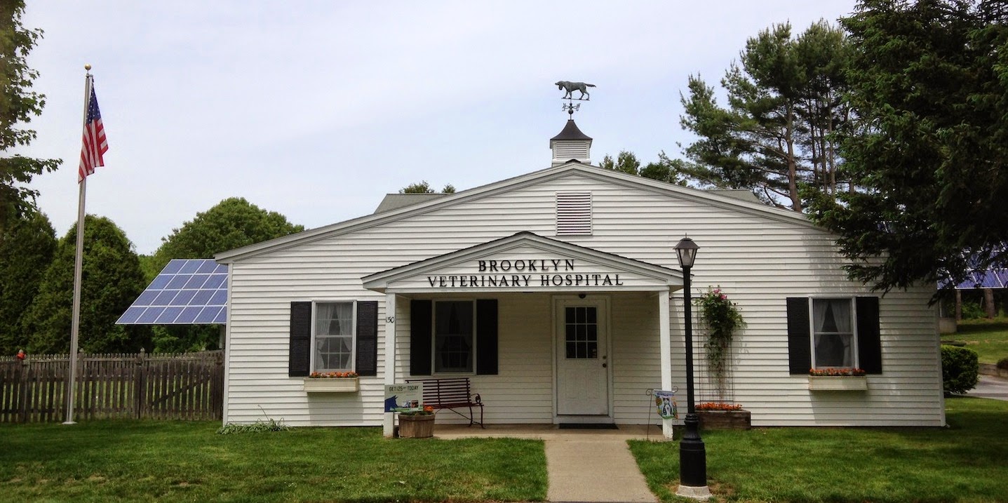 Brooklyn Veterinary Hospital - Brooklyn , United States