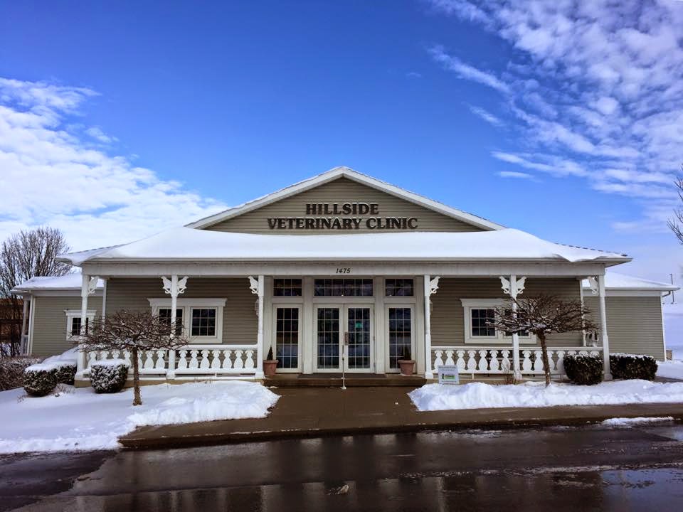 David M Dubusky Dvm - Mt Vernon , United States
