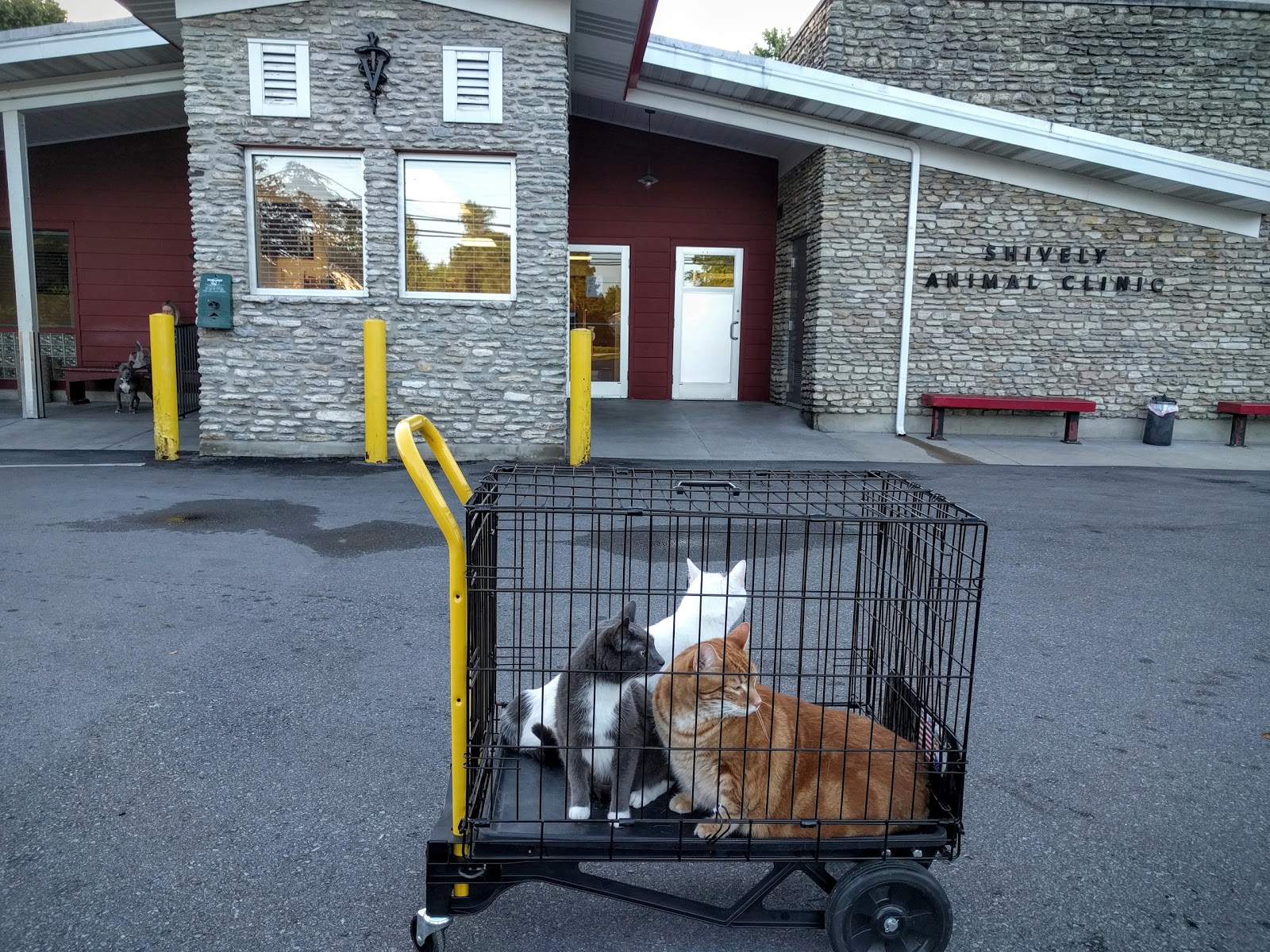 Shively Animal Clinic And Hospital - Louisville , United States