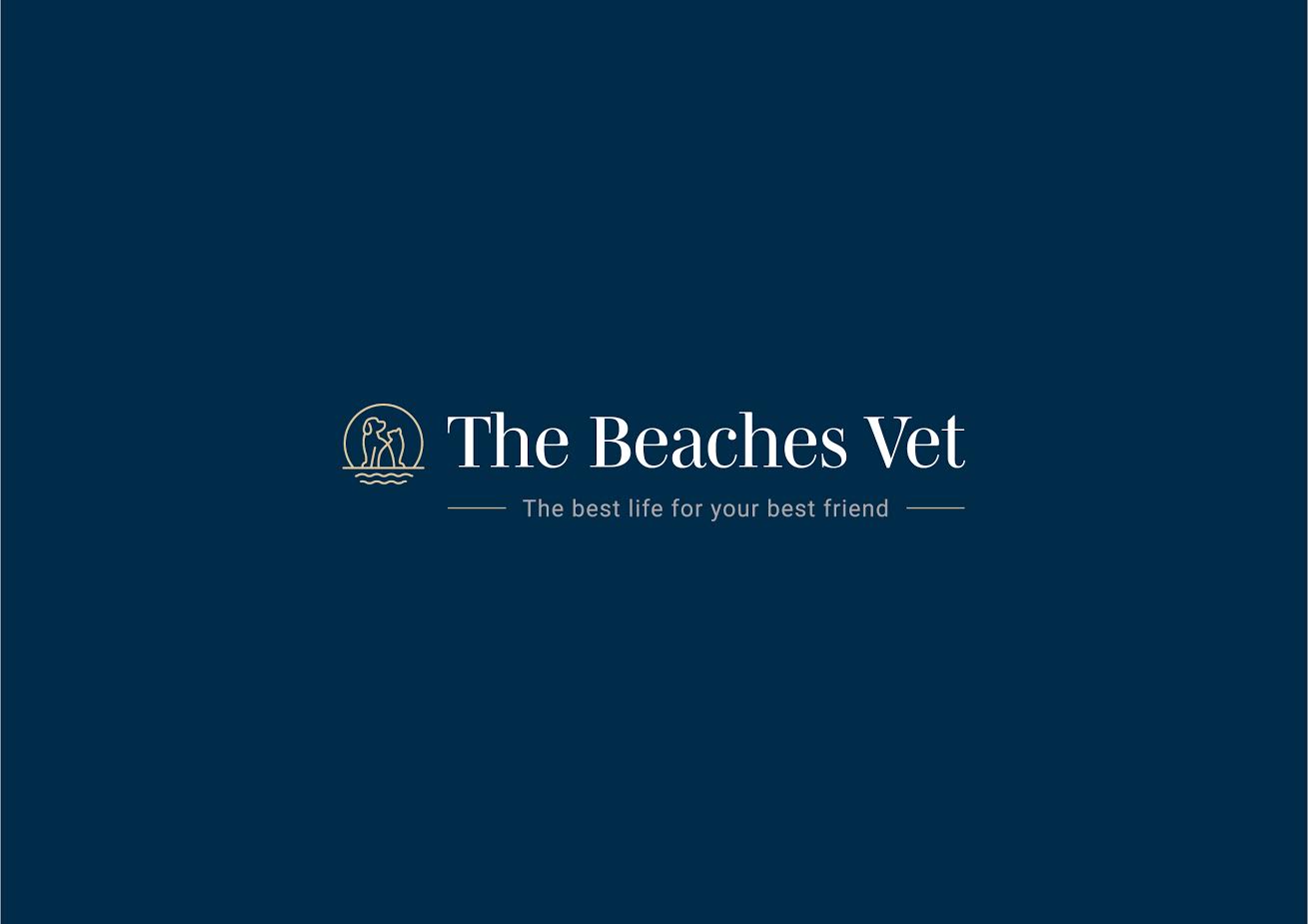 The Beaches Vet - Manly Vale , Australia