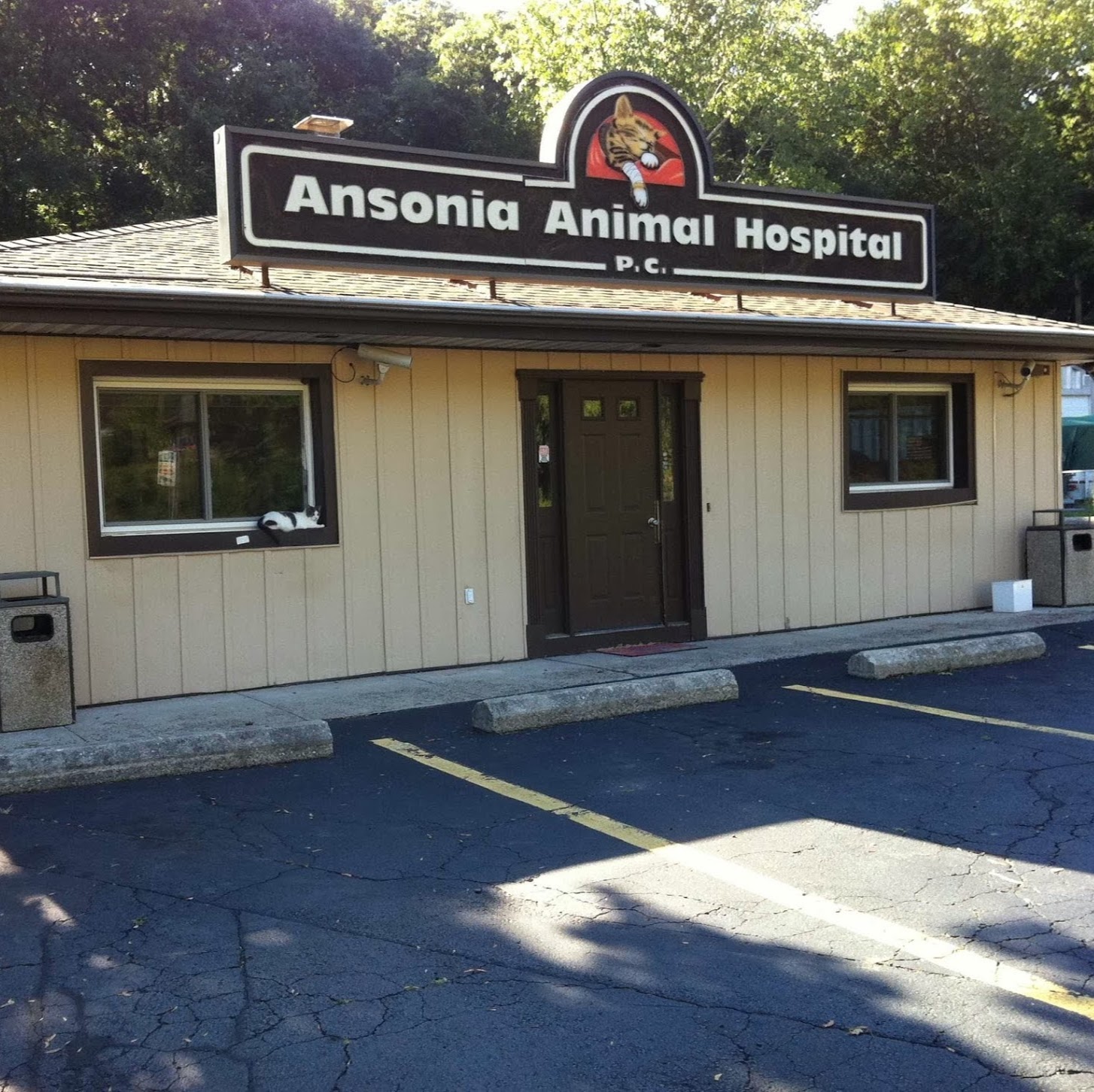 Ansonia Seymour Veterinary Hospital - Seymour , United States