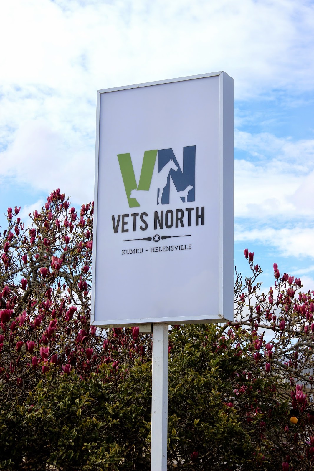 Vets North - Helensville , New Zealand