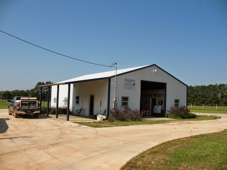 Equine Medical Services - Silverhill , United States