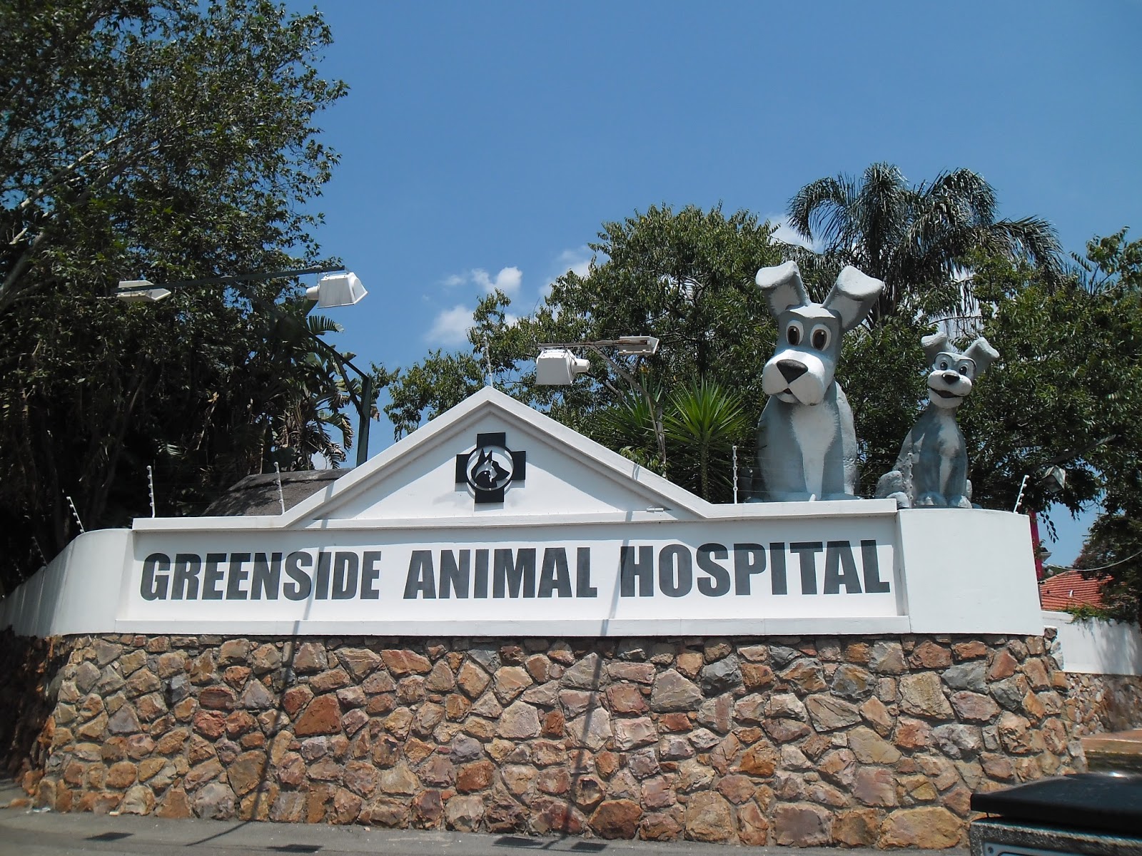 Greenside Animal Hospital Your Preferred Veterinary Practice - Randburg , South Africa