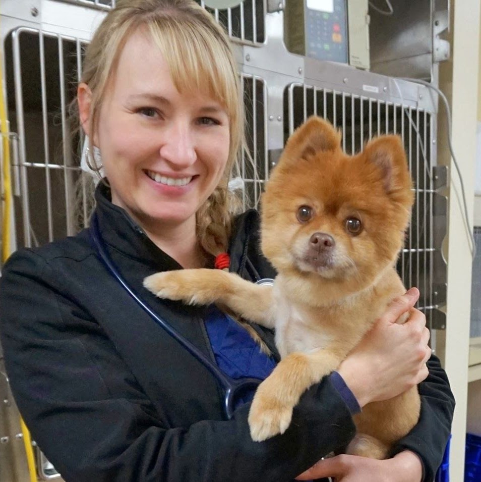 Advanced Animal Care Emergency - Richmond , United States