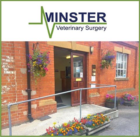 Minster Veterinary Surgery - Chard , United Kingdom