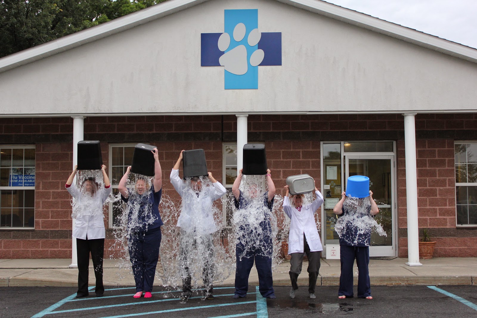 East Greenbush Animal Hospital - East Greenbush , United States