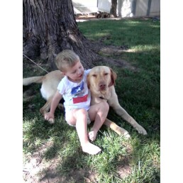 Polo Road Animal Hospital - Grand Prairie , United States
