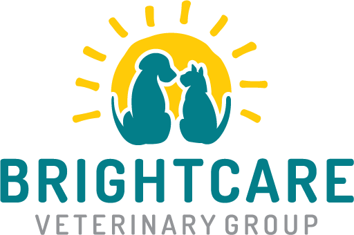 Brightcare Veterinary Group Animal Neurology And Imaging - Mission Viejo , United States