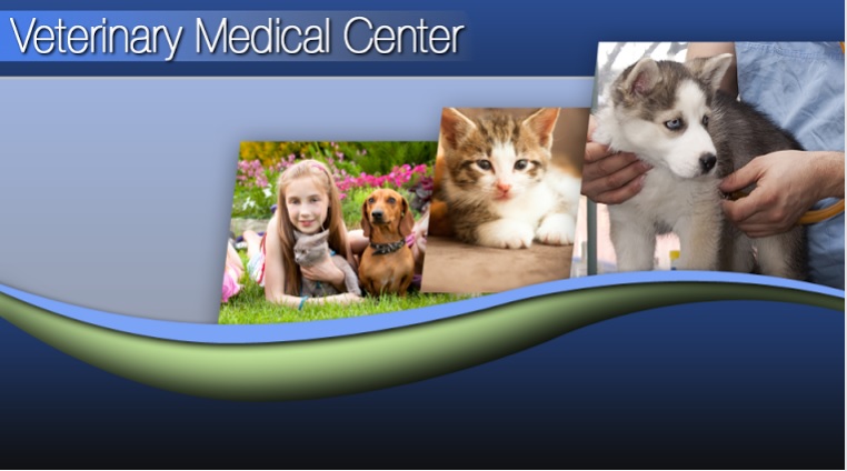 Veterinary Medical Center Union City - Union City , United States