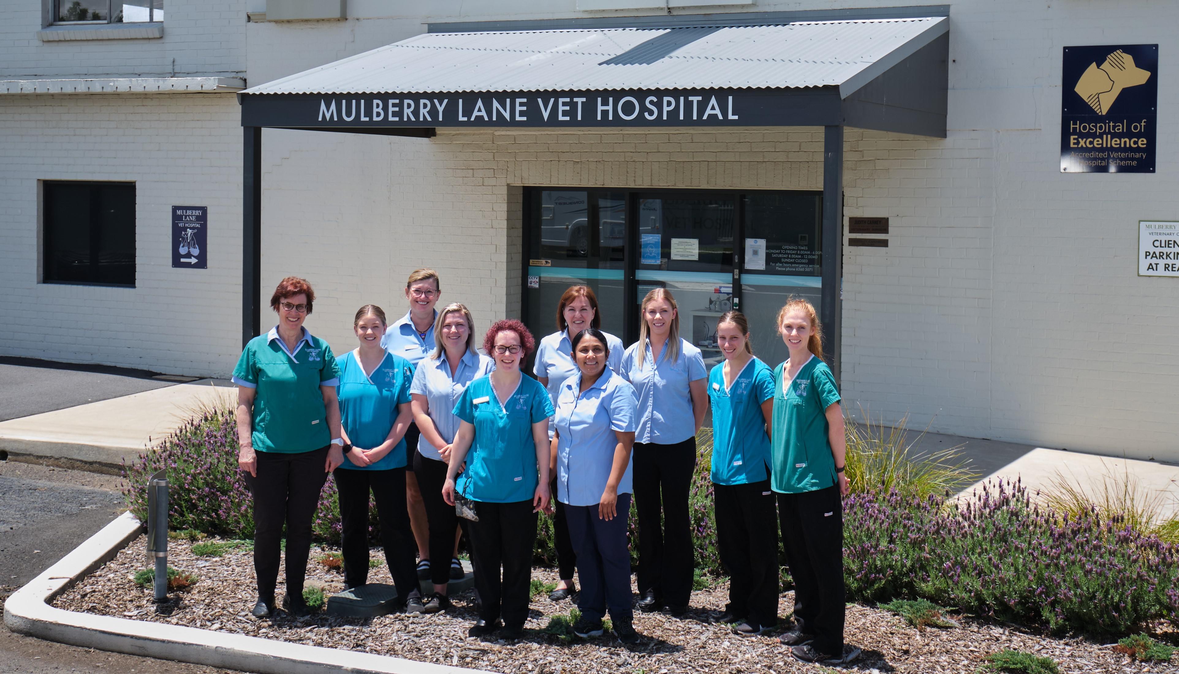 Mulberry Lane Vet Hospital - Orange , Australia