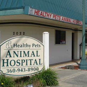 Healthy Pets Animal Hospital - Olympia , United States