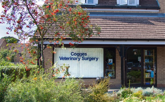 Cogges Veterinary Surgery - Witney , United Kingdom
