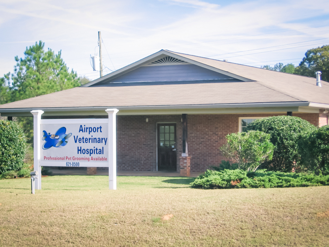 Airport Veterinary Hospital - Calera , United States